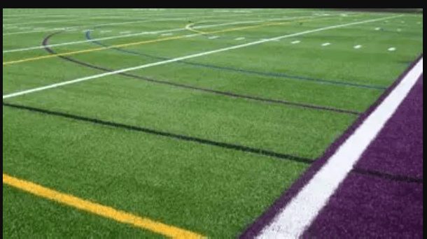 Artificial Turf for Sports Fields services in Hayward, California